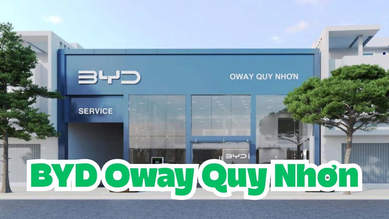 BYD Oway Quy Nhơn