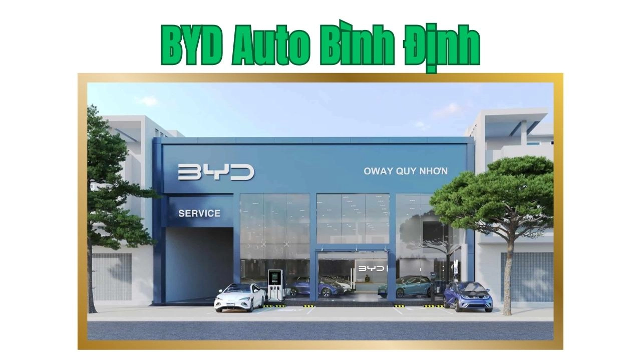 BYD Auto Bình Định
